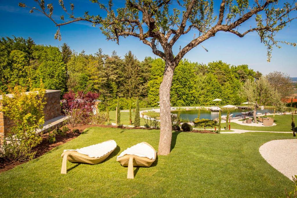 Golden Hill Country Chalets & Suites Waldschach Ngoại thất bức ảnh